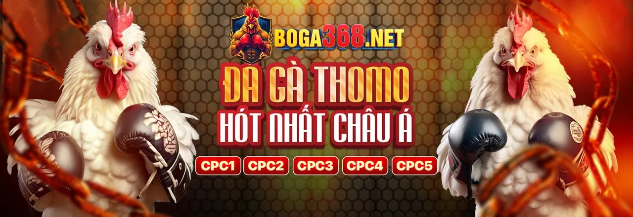 Đá Gà Trực Tuyến Hấp Dẫn tại 888k Link Mới